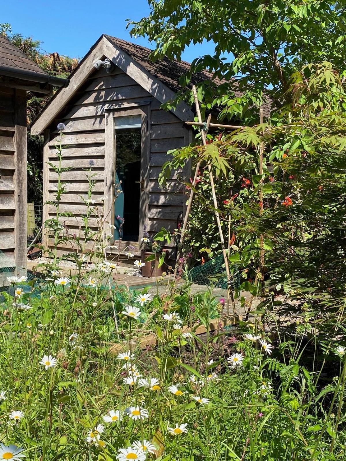 The Tool Shed Nestled In Idyllic Countryside Villa Linchmere Eksteriør billede