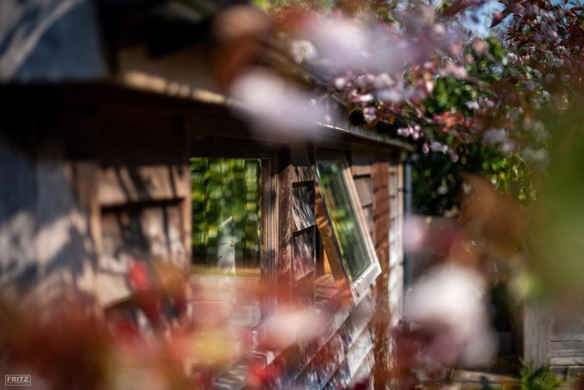 The Tool Shed Nestled In Idyllic Countryside Villa Linchmere Eksteriør billede