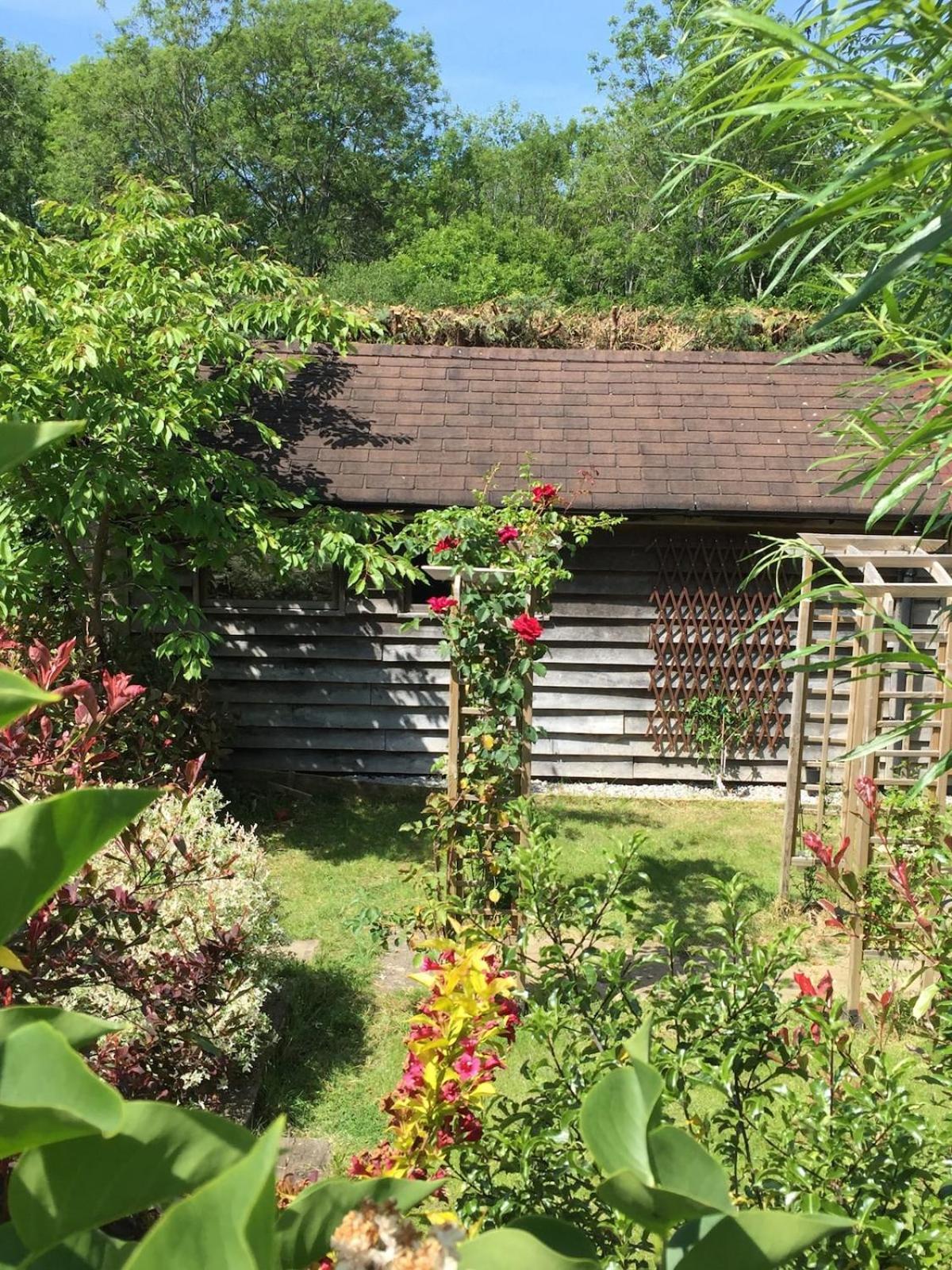 The Tool Shed Nestled In Idyllic Countryside Villa Linchmere Eksteriør billede