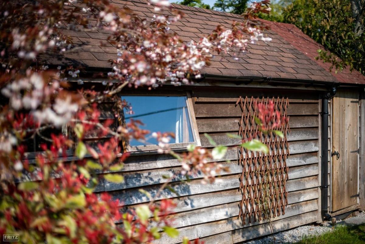 The Tool Shed Nestled In Idyllic Countryside Villa Linchmere Eksteriør billede