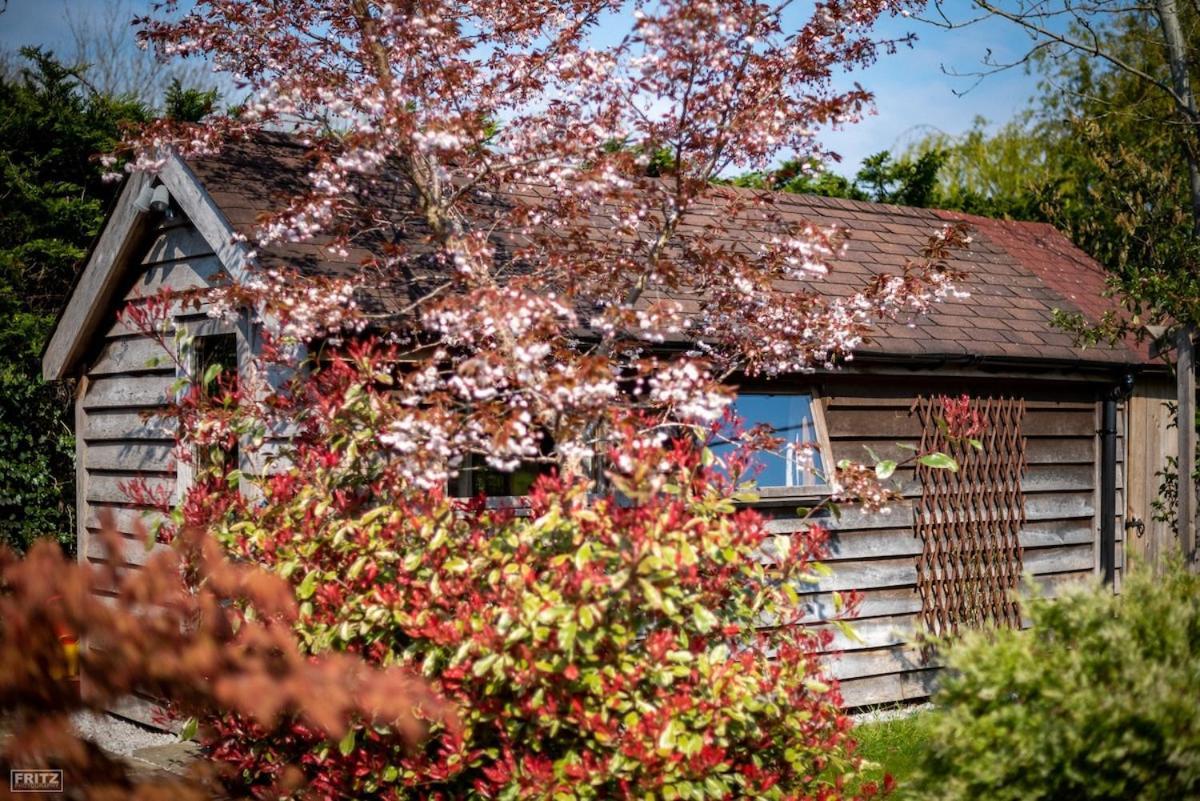 The Tool Shed Nestled In Idyllic Countryside Villa Linchmere Eksteriør billede